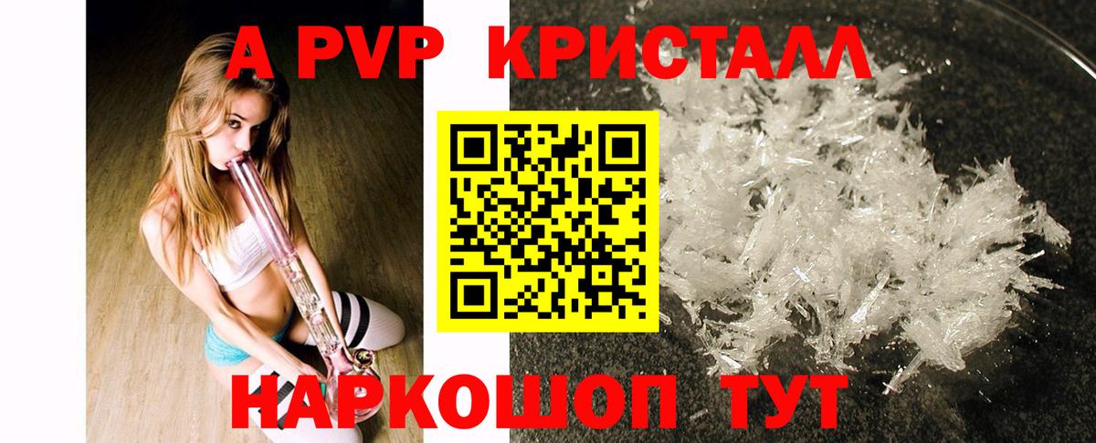 A PVP СК КРИС Котлас