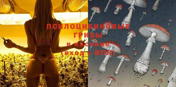 дмт Магас