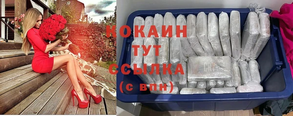 прущий лед Козельск