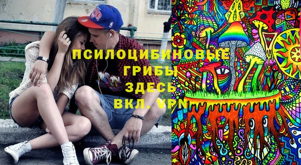 дмт Магас
