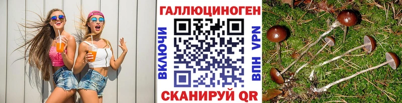 blacksprut ссылка  где продают   Котлас  Галлюциногенные грибы ЛСД 