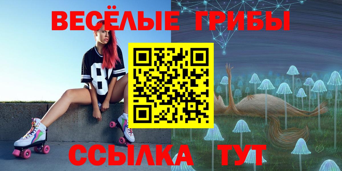 Псилоцибиновые грибы Cubensis Котлас