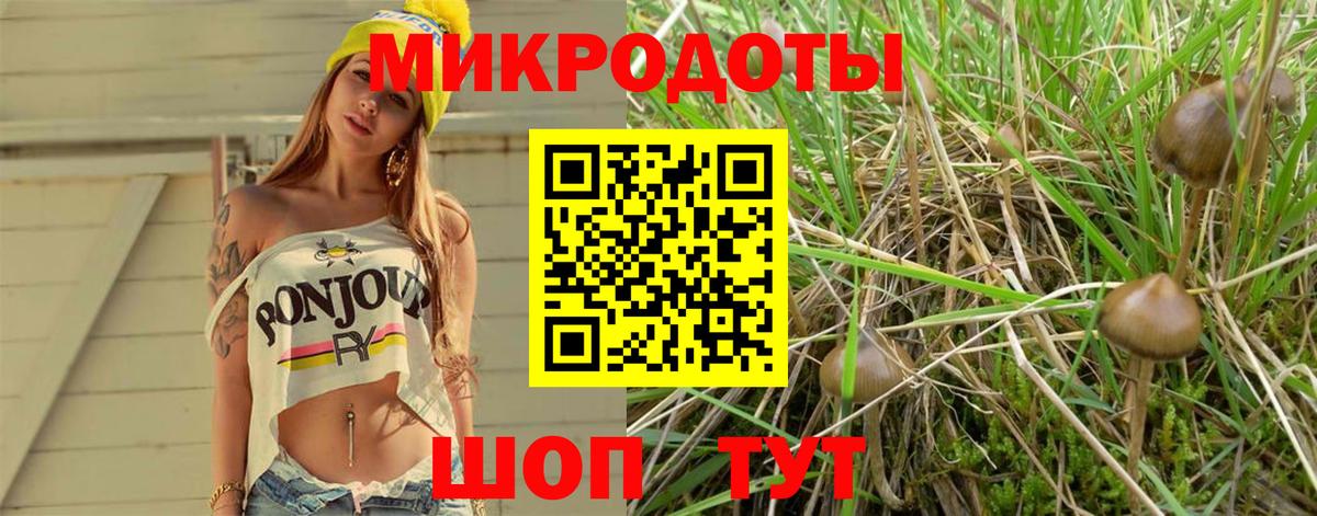 Котлас  Псилоцибиновые грибы мицелий  Вход с VPN 