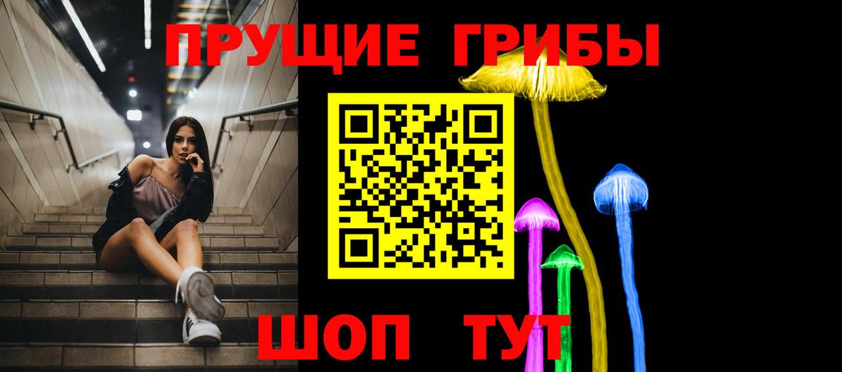 Псилоцибиновые грибы мицелий Котлас