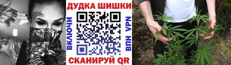 Конопля сатива  Котлас 